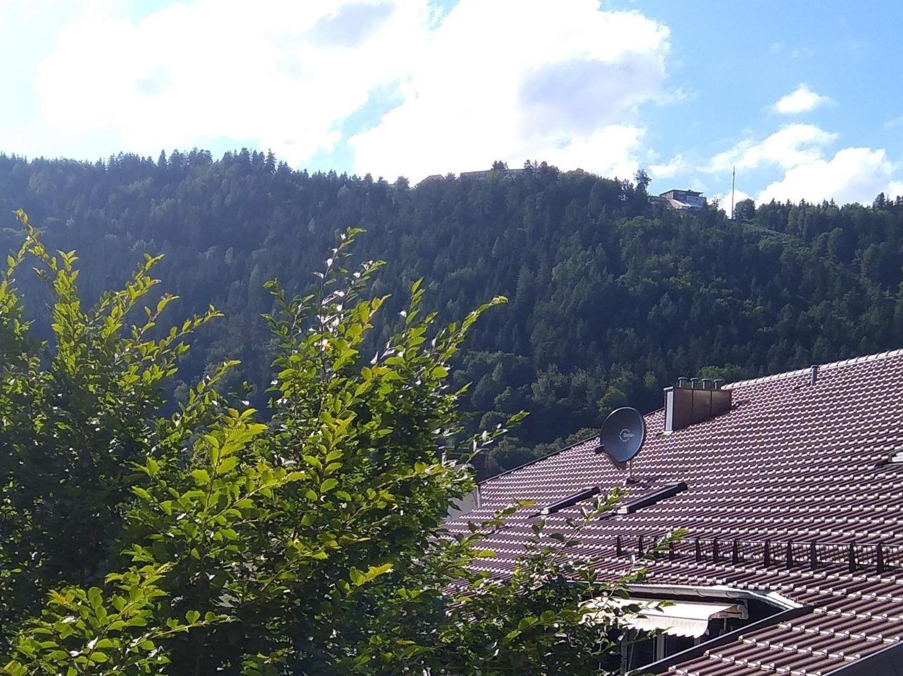 Ferienwohnung Tannenwald Bad Wildbad Extérieur photo